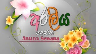 Araliya Sewana (14) 28-11-2023
